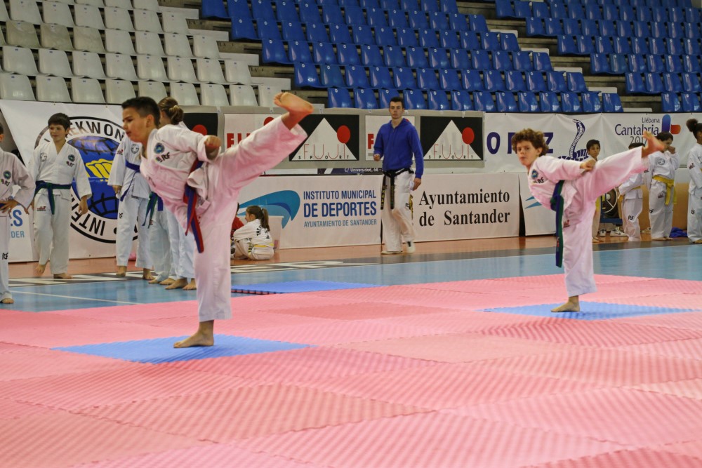 Taekwondo Dic 2016 (142).jpg
